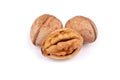 Cracked and not cracked Walnut group isolated Royalty Free Stock Photo