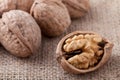 Cracked nut, kernel inside and Circassian walnuts Royalty Free Stock Photo