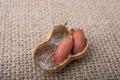 Cracked open peanut with shell on a linen canvas Royalty Free Stock Photo