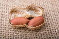 Cracked open peanut with shell on a linen canvas Royalty Free Stock Photo