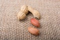 Cracked open peanut with shell on a linen canvas Royalty Free Stock Photo