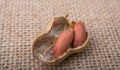 Cracked open peanut with shell on a linen canvas Royalty Free Stock Photo