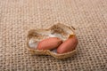 Cracked open peanut with shell on a linen canvas Royalty Free Stock Photo