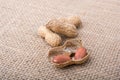 Cracked open peanuts with shell on a linen canvas Royalty Free Stock Photo