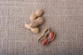 Cracked open peanuts with shell on a linen canvas Royalty Free Stock Photo