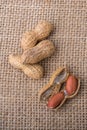 Cracked open peanuts with shell on a linen canvas Royalty Free Stock Photo