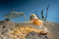 Cracked over roasted egg lying down on bed on the sunny fake beach Royalty Free Stock Photo