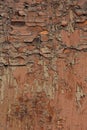 Cracked paint on wooden background texture Royalty Free Stock Photo