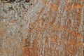 Cracked paint on a wooden wall. Wall from wooden planks with paint traces. Royalty Free Stock Photo