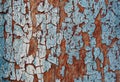 Cracked paint on a wooden wall. Wall from wooden planks with paint traces. Royalty Free Stock Photo