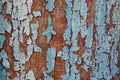 Cracked paint on a wooden wall. Wall from wooden planks with paint traces. Royalty Free Stock Photo