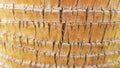 Cracked palm bark surface closeup. Fibrous palm tree trunk with deep cracks. Old palm trunk texture. Tropical plant background.