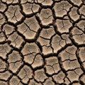 Can occur in arid regions experiencing prolonged lack of moisture, Royalty Free Stock Photo