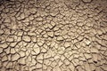 Cracked and parched earth in a lake bed