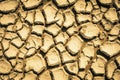 Cracked and parched earth in a lake bed