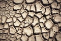 Cracked and parched earth in a lake bed