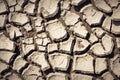 Cracked and parched earth in a lake bed