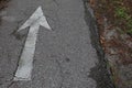 White Distressed Arrow on Asphalt Bike Trail