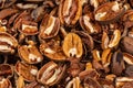 Cracked Pecan Nuts in Hard Shell Background Texture