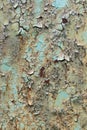 Cracked and peeled paint on the iron surface Royalty Free Stock Photo