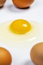 Cracked raw egg with yellow yolk and gleaming clear white