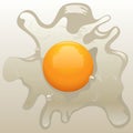 Cracked raw egg, yolk and liquid albumen. Vector illustration EPS 10 Royalty Free Stock Photo