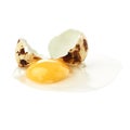 Cracked raw quail egg with yolk isolated over white background Royalty Free Stock Photo