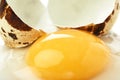 Cracked raw quail egg with yolk over white surface Royalty Free Stock Photo