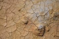 Cracked red clay. Hot climate in the desert. Royalty Free Stock Photo