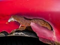 Cracked red paint, rust details on old abandoned car Royalty Free Stock Photo
