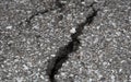 Cracked road on asphalt