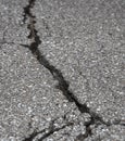 Cracked road on asphalt