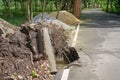 Cracked road, failed rooted tree after rain