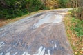 Cracked road in the forest Royalty Free Stock Photo
