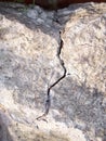 Cracked Rock