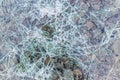 Cracked and shattered glass. Abstract texture and background. Broken glass close-up on the ground Royalty Free Stock Photo