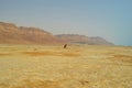 Cracked shore of the dead sea against the background of the Judean mountains Royalty Free Stock Photo