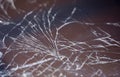 Cracked smart phone screen close-up. Broken glass texture background with cracks