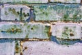 Cracked soft paint, plaster surface on brick wall with green stains, grunge horizontal shabby background detail