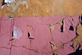Cracked soft pink paint, plaster surface on yellow brick wall, grunge horizontal shabby background detail Royalty Free Stock Photo