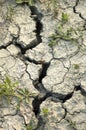 Cracked soil