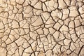 Cracked soil texture Royalty Free Stock Photo