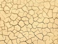 Cracked soil of barren land. Wasteland texture Royalty Free Stock Photo