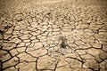 Cracked soil of desert Royalty Free Stock Photo