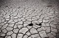 Cracked soil of desert