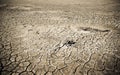 Cracked soil of desert Royalty Free Stock Photo