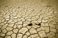 Cracked soil of desert Royalty Free Stock Photo