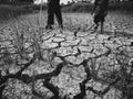 Cracked soil in a dried paddy field. Cause by global warming in black and white. Soft focus.