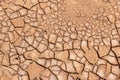 Cracked soil Royalty Free Stock Photo