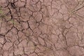 Cracked soil with dry grass Royalty Free Stock Photo